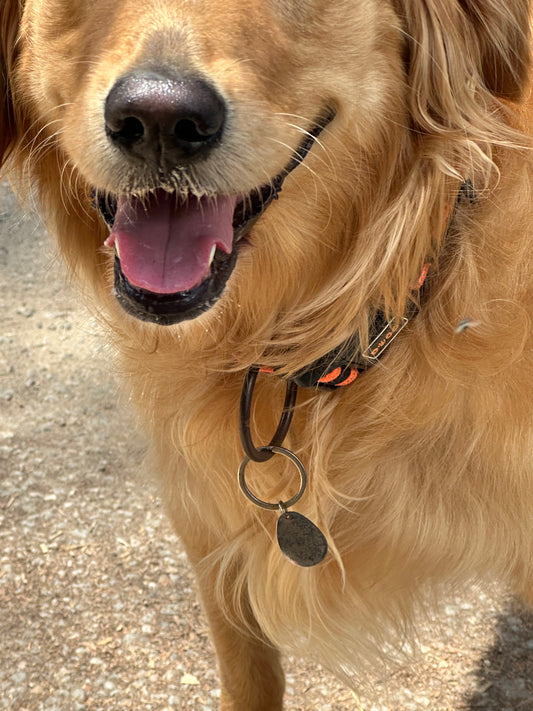 BioSiganture Pet Tags