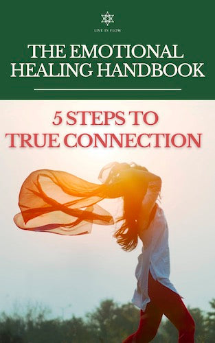 The Emotional Healing Handbook - Digital Ebook