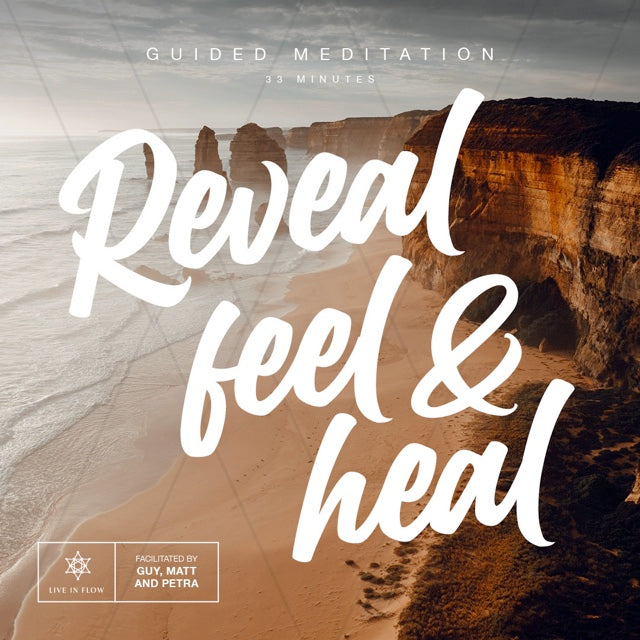 Reveal, Feel & Heal | Course Bundle